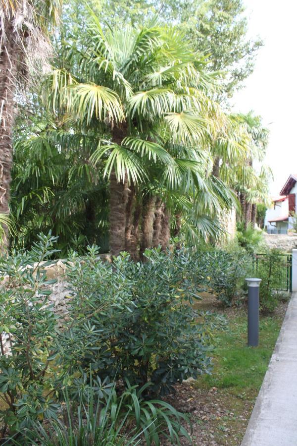 Chalet Ilona Cambo-les-Bains Exteriér fotografie